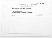 Image Associated With the Occurence